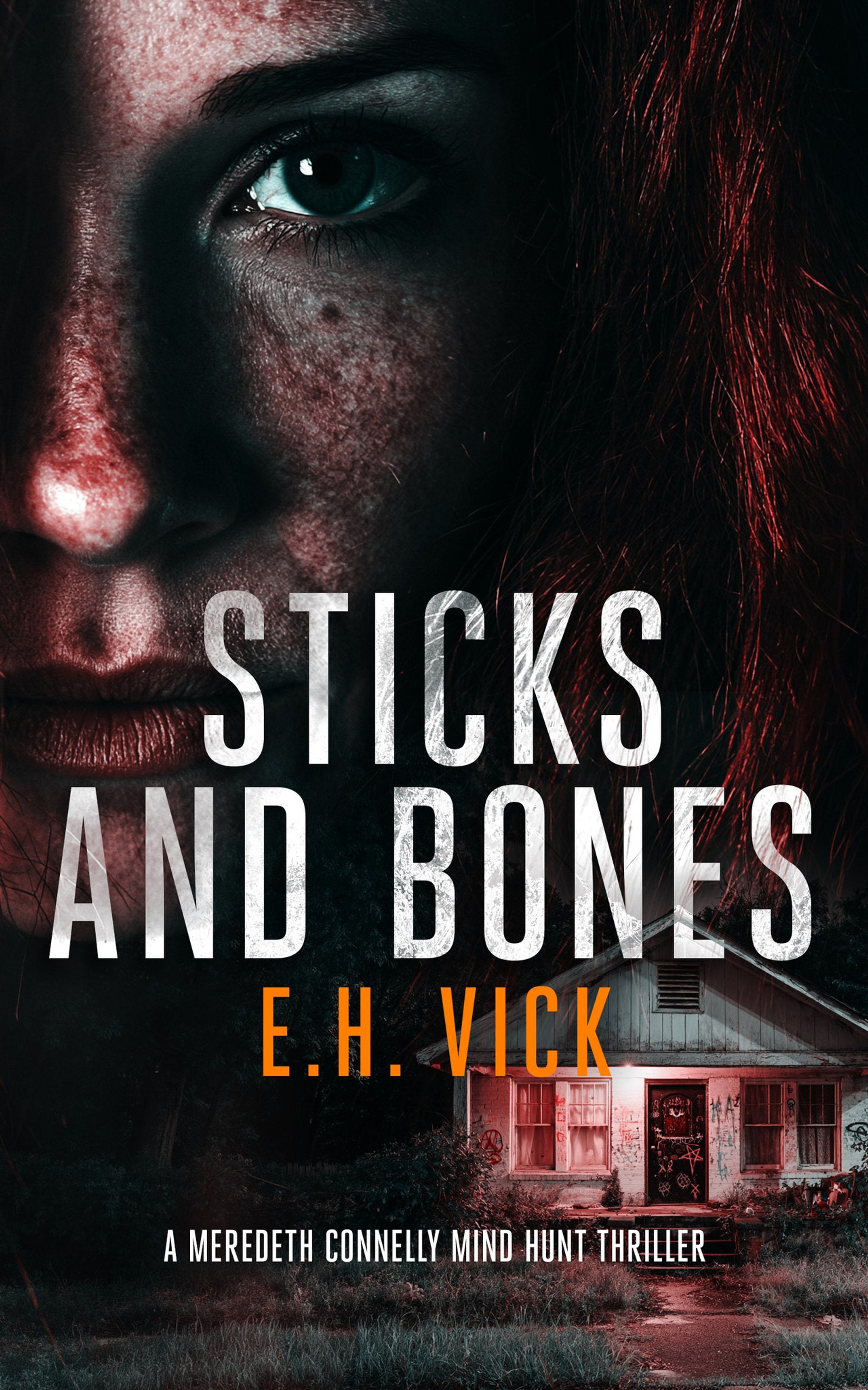 Cover image for Sticks and Bones ISBN 9781036706296
